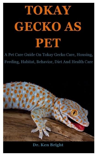 Tokay Gecko As Pet