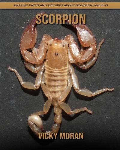 Scorpion