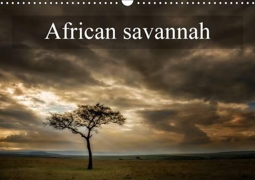 African savannah 2015