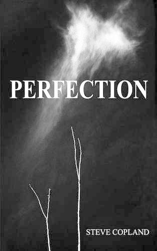 Perfection