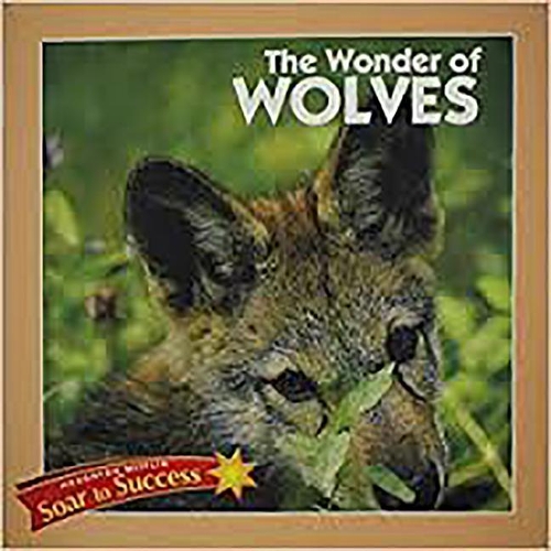 Houghton Mifflin Soar to Success: Reader, Level 4 Set 7 Wonder of Wolves