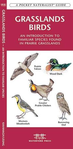 Grasslands Birds