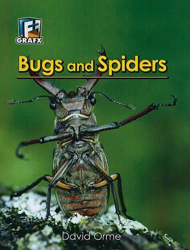 Bugs and Spiders