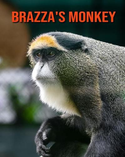 Brazza's Monkey: Fun Learning Facts About Brazza's Monkey