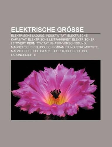 Elektrische Grosse