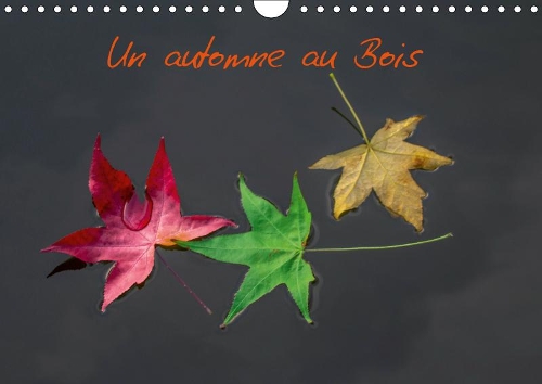Un automne au Bois 2019: Un automne dans le Bois de Boulogne.(Calvendo Places)