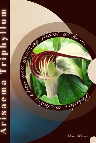 Arisaema Triphyllum
