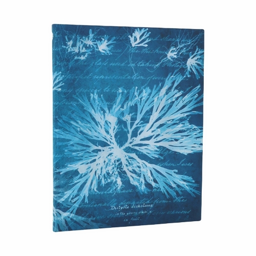 Sea Flowers (Anna Atkins’ Cyanotypes) Ultra Lined Softcover Flexi Journal (Elastic Band Closure)