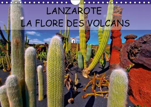 LANZAROTE LA FLORE DES VOLCANS 2015
