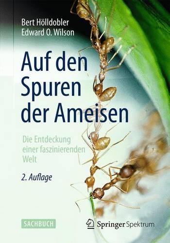 Auf Den Spuren Der Ameisen