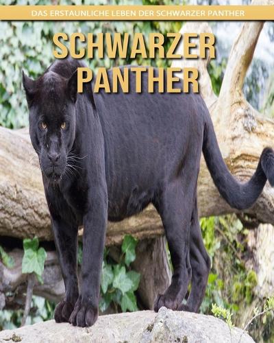Schwarzer Panther
