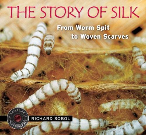 Story of Silk: From Worm Spit to Woven Scarves