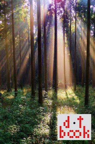 The Dot Book - A Dot Grid Notebook for Graphic Designers - Light Series - 015