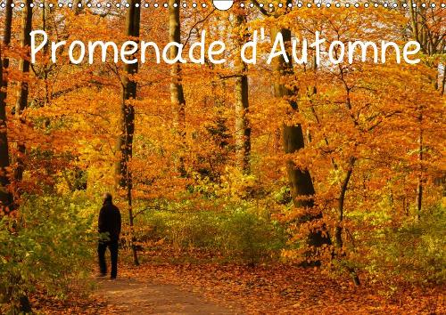 Promenade d'Automne 2019: Une promenade haute en couleurs et pleine de sérénité.(Calvendo Nature)