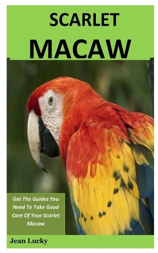 Scarlet Macaw