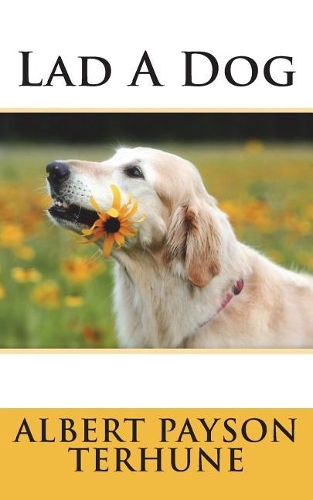 Lad a Dog