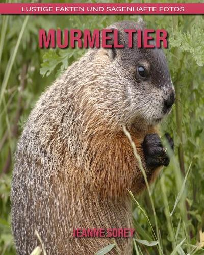 Murmeltier: Lustige Fakten und sagenhafte Fotos