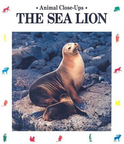 The Sea Lion