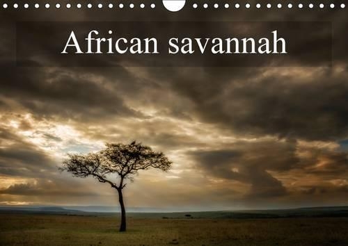 African savannah 2015: Fauna in the Kenian savannah(Calvendo Nature)
