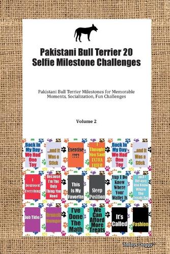 Pakistani Bull Terrier 20 Selfie Milestone Challenges Pakistani Bull Terrier Milestones for Memorable Moments, Socialization, Fun Challenges Volume 2