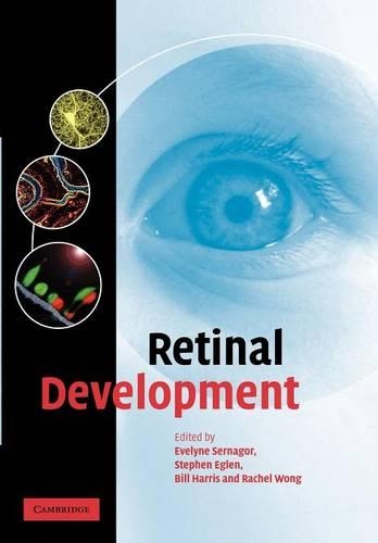 Retinal Development: (English)
