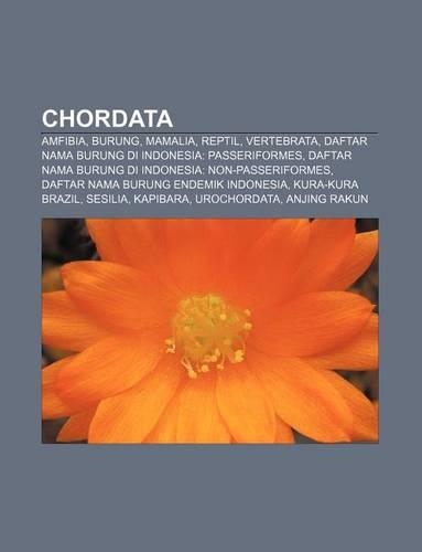 Chordata
