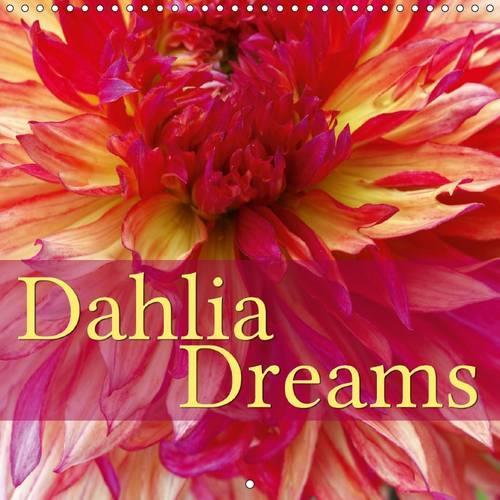 Dahlia Dreams 2016