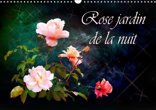 Rose jardin de la nuit 2019