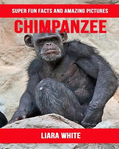 Chimpanzee: Super Fun Facts and Amazing Pictures