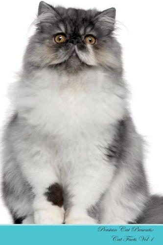 Persian Cat Presents