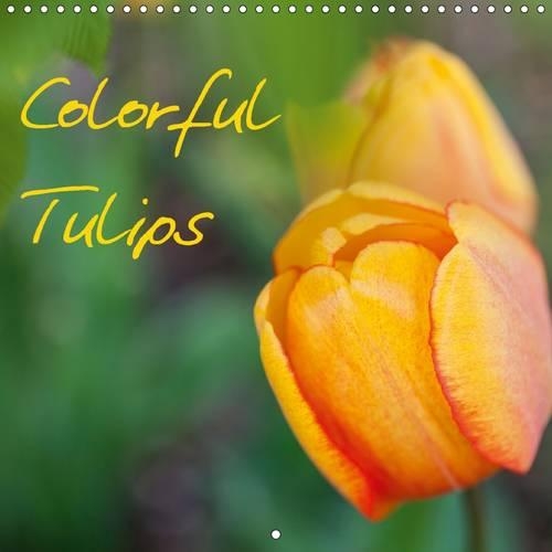 Colorful Tulips 2016