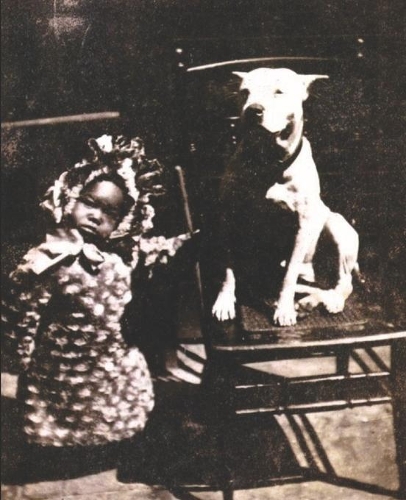 Immortal Berliner: In the Bosom of the High John(2 A Chronicle of Kings)