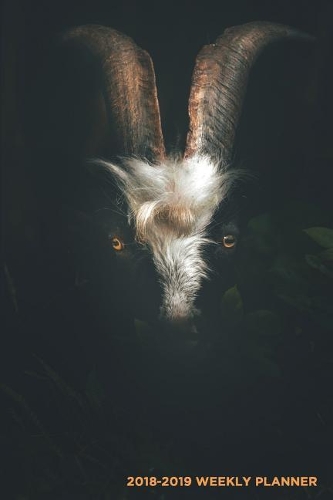 2018-2019 Weekly Planner