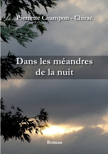 Dans les méandres de la nuit