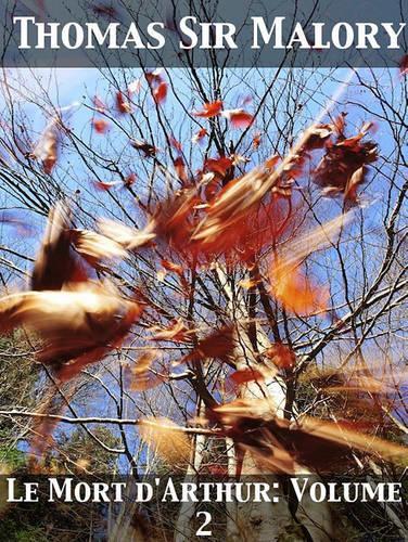 Le Mort D'Arthur: Volume 2