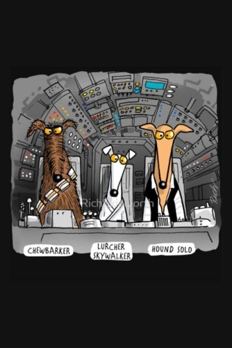 Chewbarker Lurcher Skywalker Hound Solo