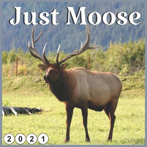 Just Moose