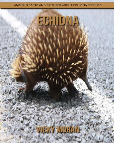 Echidna