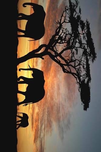 Silhouettes of African Elephants in Keny: Blank 150 Page Lined Journal for Your Thoughts, Ideas, and Inspiration(English)