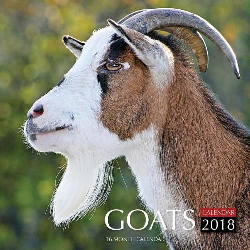Goats Calendar 2018