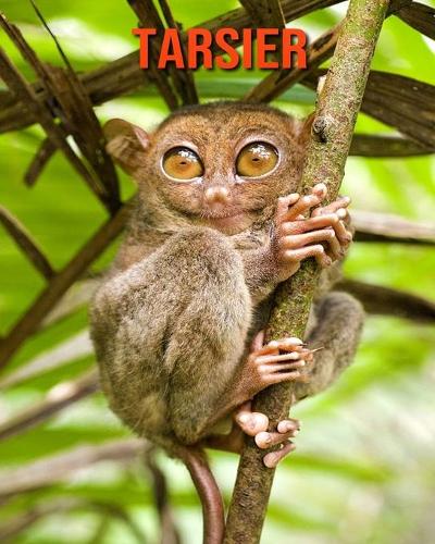 Tarsier