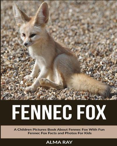 Fennec Fox