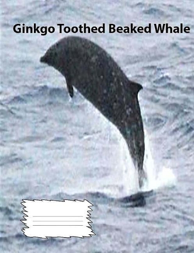 Ginkgo Toothed Beaked Whale Wide Ruled line Paper Composition Book: Whale Fans, Elementary Students, Middle school students, Causal writing, journals