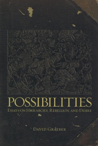 Possibilities: Essays on Hierarchy, Rebellion and Desire(English)