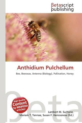 Anthidium Pulchellum