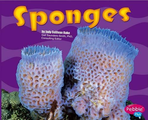 Sponges