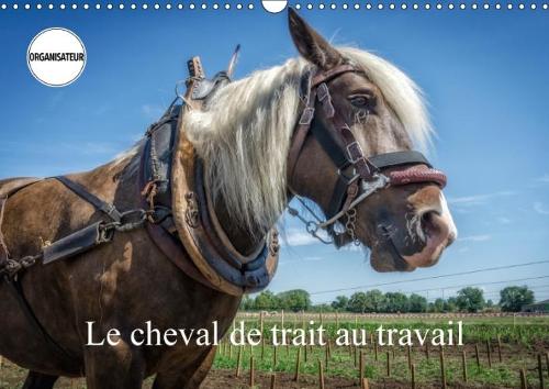 Le Cheval De Trait Au Travail 2018: Exemples D'utilisation Du Cheval De Trait(Calvendo Mode de Vie)