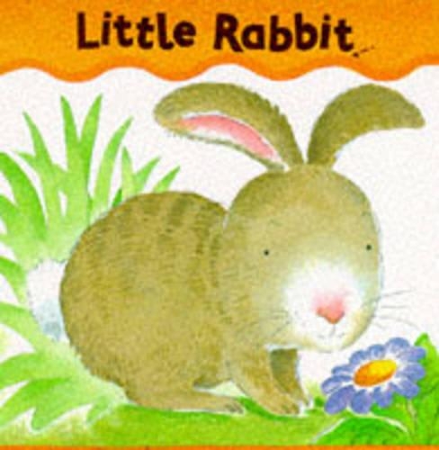 Little Rabbit: (Board Books - Smee S.)