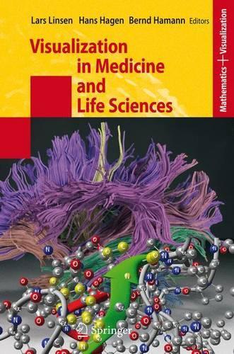 Visualization in Medicine and Life Sciences: (Mathematics and Visualization)