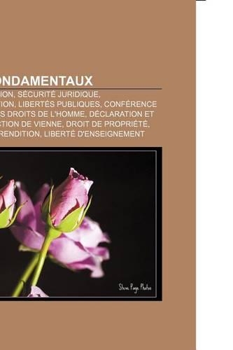 Droits Fondamentaux: Liberte de Religion, Securite Juridique, Autodetermination, Libertes Publiques(French)